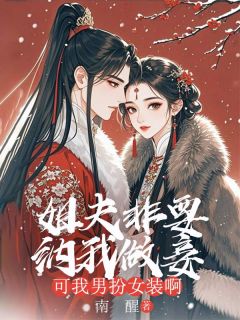 姐夫非要纳我做妾，可我男扮女装啊
