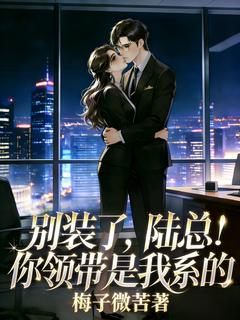 别装了，陆总！你的领带是我系的