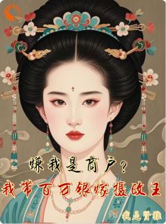 嫌我是商户？我带百万银嫁摄政王