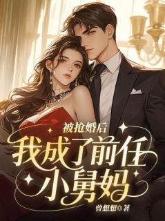 被抢婚后，我成了前任小舅妈
