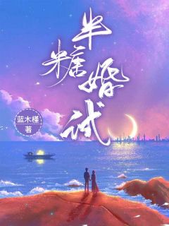 半糖婚试