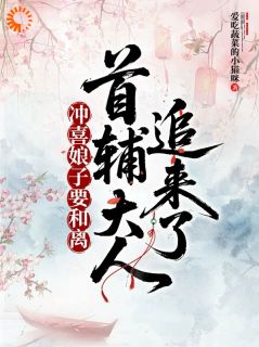 冲喜娘子要和离，首辅大人追来了