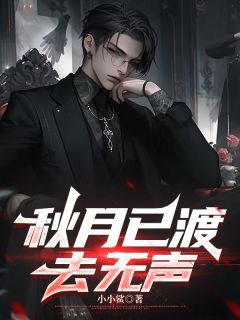 秋月已渡去无声