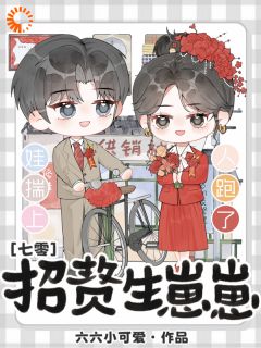 七零招赘生崽崽，娃揣上，人跑了