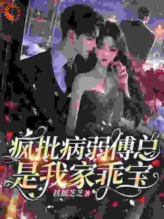 疯批病弱傅总，是我家乖宝