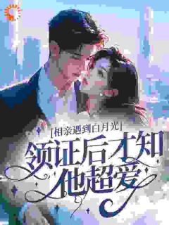 相亲遇到白月光，领证后才知他超爱