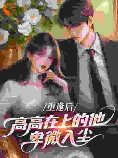 重逢后，高高在上的他卑微入尘