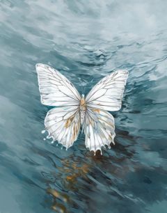 关于我误看了学长腹肌这件事