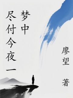 尽付今夜一梦中