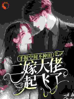 手握空间不种田，二嫁大佬起飞了