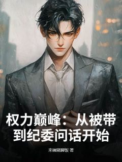权力巅峰：从被带到纪委问话开始