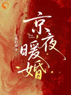 京夜暖婚