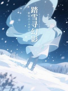 踏雪寻幻影