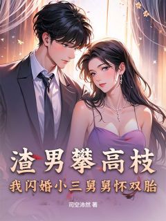 渣男攀高枝？我闪婚小三舅舅怀双胎