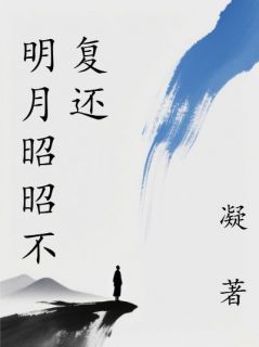 明月昭昭不复还