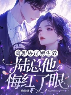 离职协议刚生效，陆总他悔红了眼