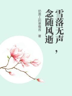 雪落无声，念随风逝