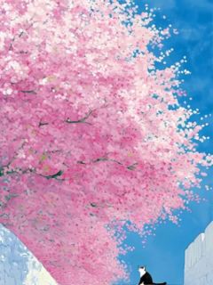 我儿子废了，我老公买了那所学校