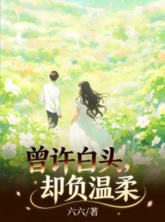 曾许白头，却负温柔