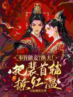 不当妾室后，她改嫁首辅当主母