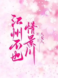 江州不也情景川